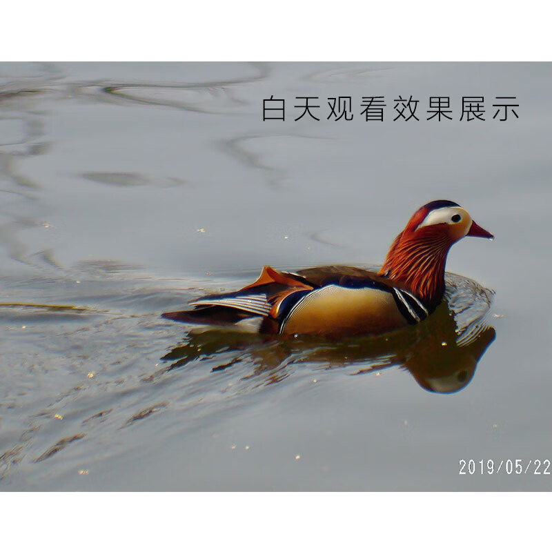 奥尔法（ORPHA）红外数码夜视仪袖珍小巧轻便/免调焦/日夜高清/GPS D3口袋夜视仪