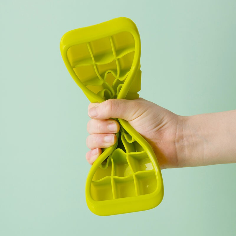 茶花（CHAHUA） 茶花塑料冰块盒制冰盒模型家用小做冰格的制作辅食冰箱冻冰块 亚格易取冰块盒