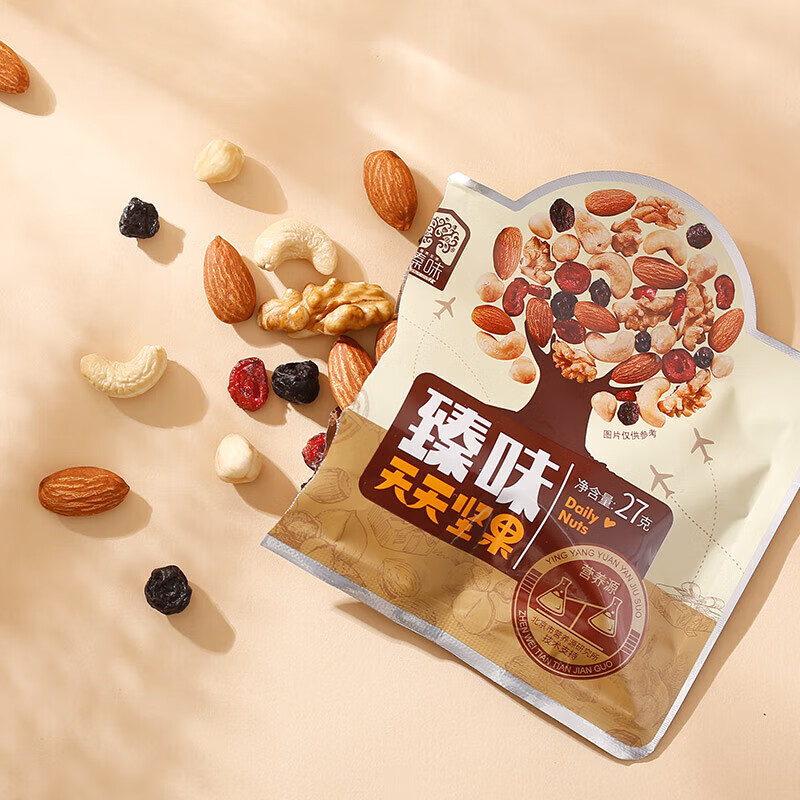 臻味天天坚果礼盒每日混合干果腰果榛子仁零食独立小包装 27g 【*20袋】540g天天坚果儿童