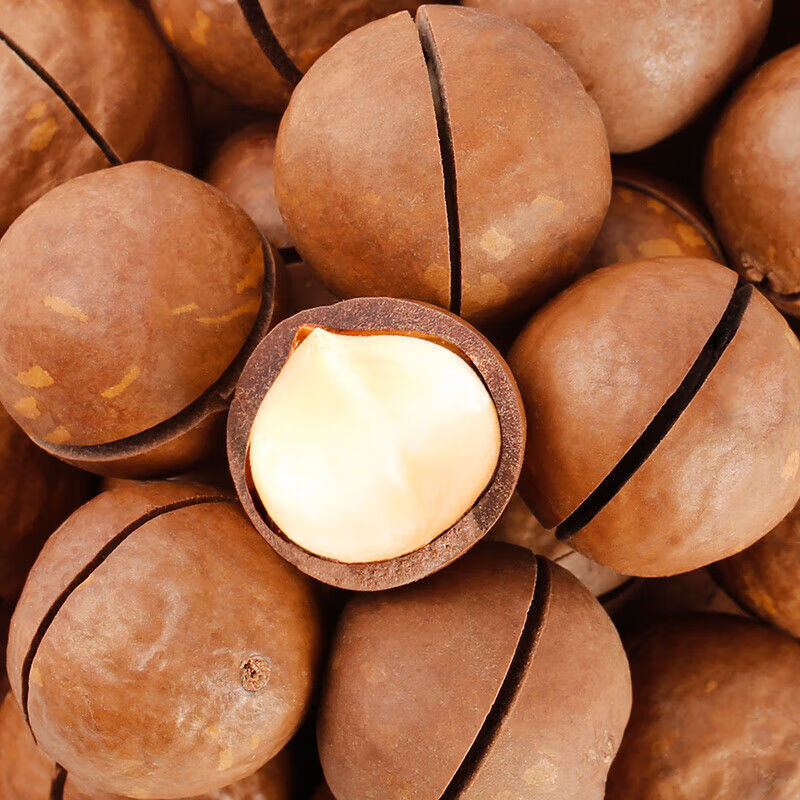 臻味 DELICIOUS每日坚果原味纯干果休闲孕妇零食袋装开心果夏威夷果碧根果 南非碧根果100g 1g