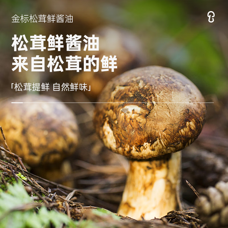 松鲜鲜金标必拍 松鲜鲜松茸鲜酱油490ml*2瓶酿造酱油生抽炒菜红烧调味 金标鲜酱油490ml*2瓶