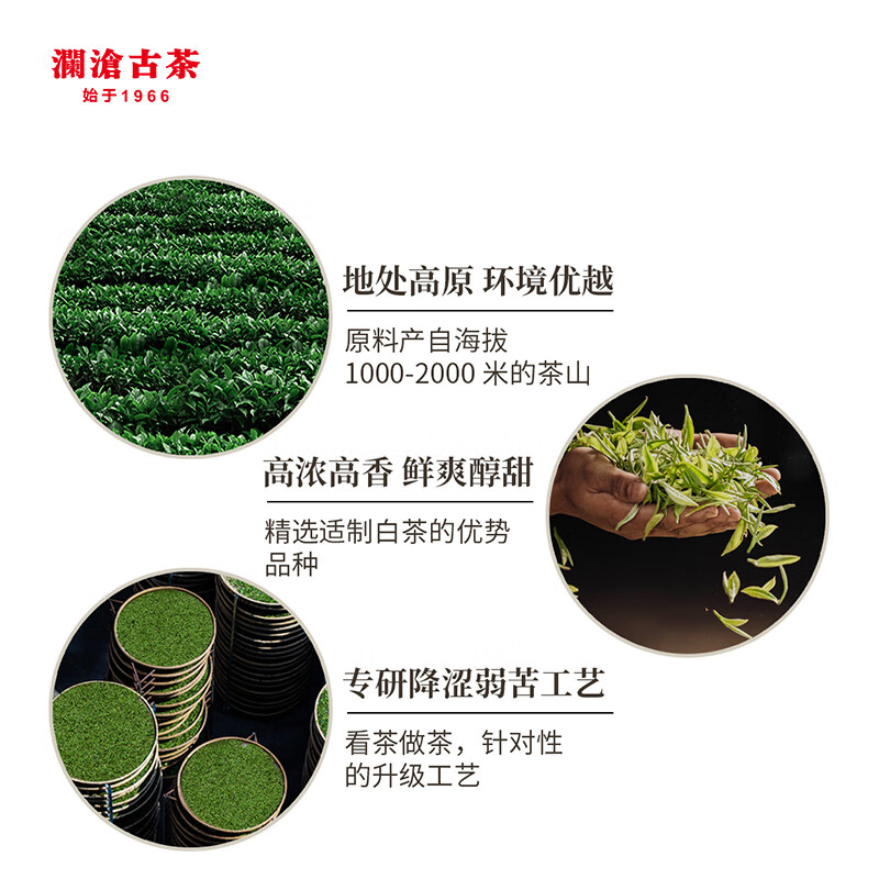 澜沧古茶叶白茶2021年茶妈妈云南白茶品鉴装盒装40g（5g*8小包）