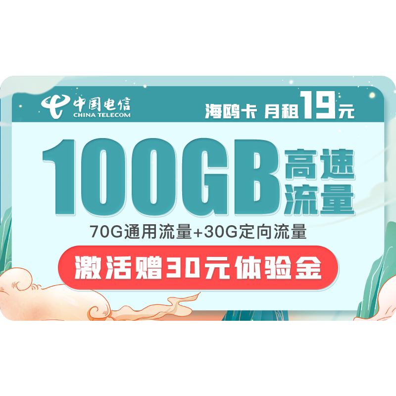  中国电信 海鸥卡 19月租100G（70G通用流量+30G定向流量）　