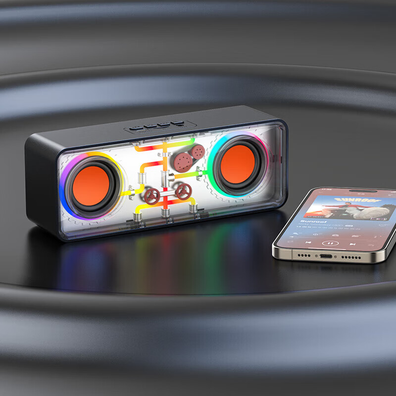 RECCI锐思RSK-W38 HIFi音质炫彩RGB七彩灯效随音乐舞动双喇叭设计超强立体声蓝牙音箱 黑色