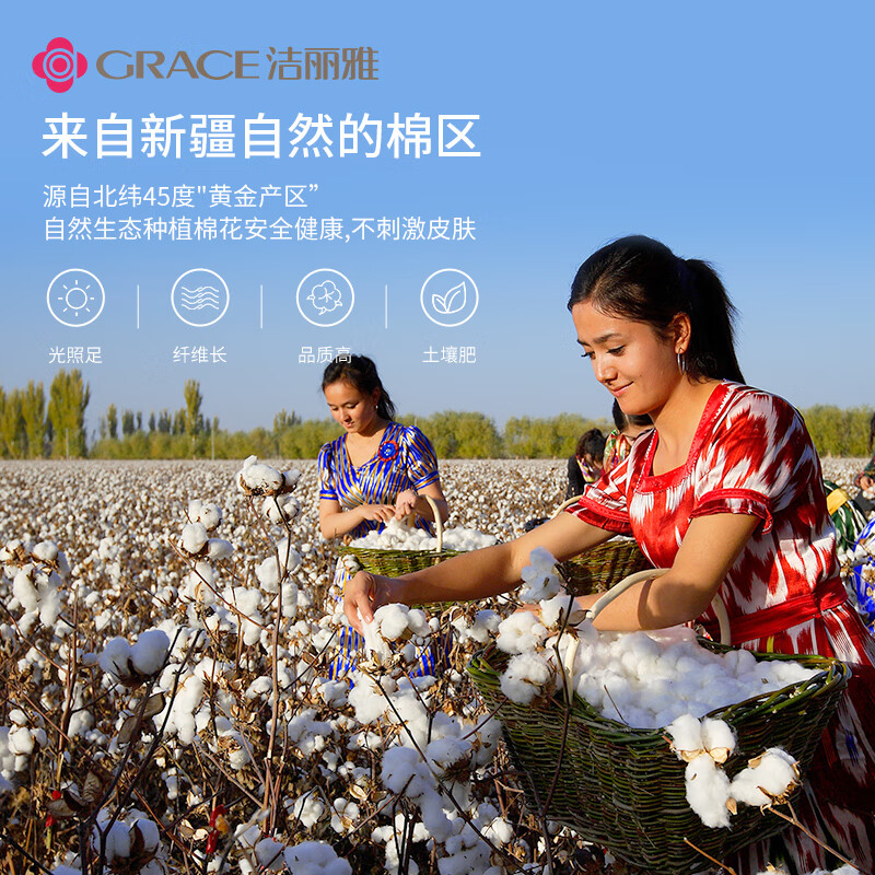 洁丽雅（Grace）新疆长绒棉棉花被子 棉被棉花胎棉絮床垫被 四季被芯被褥子单人秋冬春秋被 150*200cm 5斤
