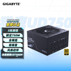 技嘉猎鹰(GIGABYTE)额定750W金牌全模组电脑电源（80PLUS金牌/支持RTX3060/3070/五年保障）UD750GM
