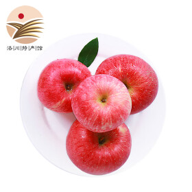 洛川苹果 新鲜红富士 健康轻食 产地直发可带皮吃 15颗小果 单果130g-170g