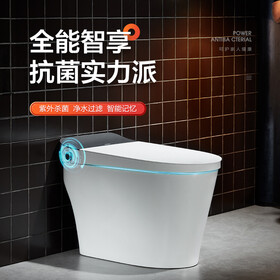 箭牌（ARROW） 卫浴智能马桶外置水过滤器全自动坐便器一体无水箱电动座圈恒温 AKB1316【纤薄简约】  305坑距（适用290~380mm）验货后再签收