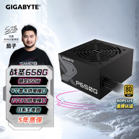 技嘉（GIGABYTE）额定650W游戏台式机电源(80PLUS金牌认证/日系电容/低噪音/智能温控)GP-650G