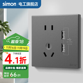 西蒙（SIMON） 开关插座面板五孔插座空调网络单开双控一开五孔usbC60荧光灰 五孔带双USB 插座
