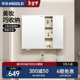 悍高（HIGOLD）浴室柜卫生间奶油风地柜洗漱台美妆洗脸盆镜柜单件  普通镜柜（不含地柜） 88cm
