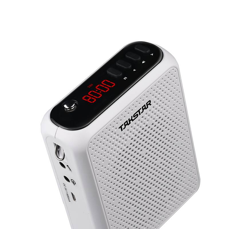 得胜（TAKSTAR）E300W 无线小蜜蜂扩音器教师专用大功率喇叭导游蓝牙小音箱FM收音机