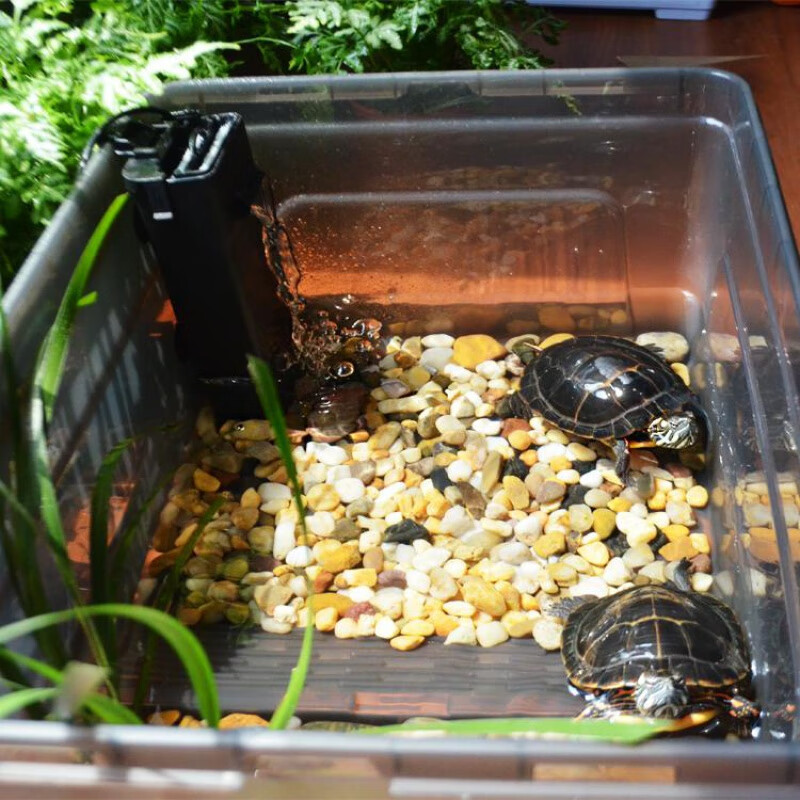 宝宠派乌龟缸带晒台饲养专用鱼缸巴西龟盒养龟箱别墅养殖盆小大型家用