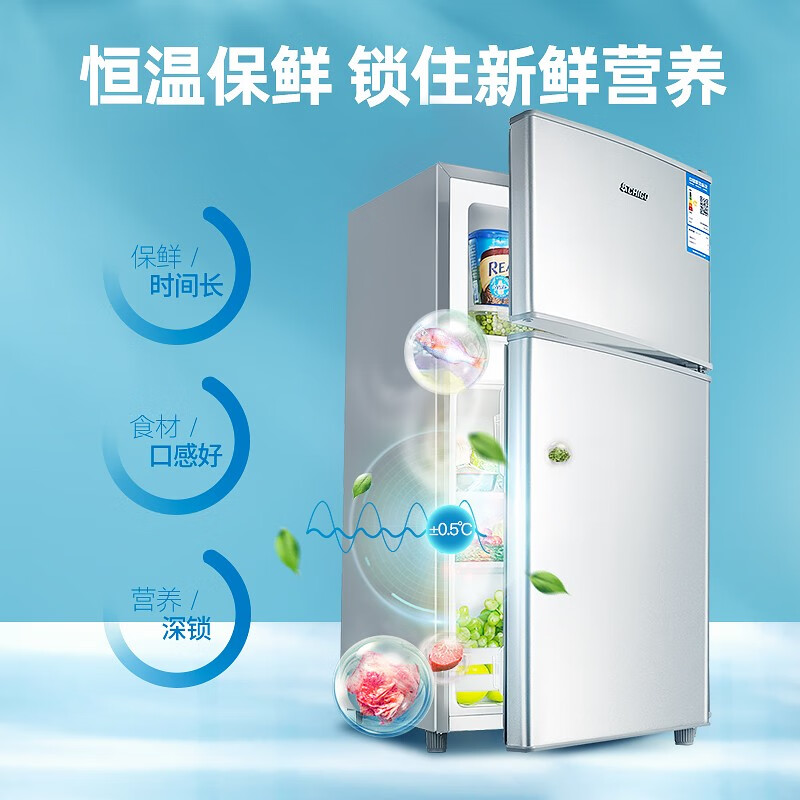 志高（CHIGO）【送货上门】 双门冰箱小型电冰箱 迷你家用小冰箱宿舍冷冻冷藏冷冻节能特价 【BCD-43P128-L银色】