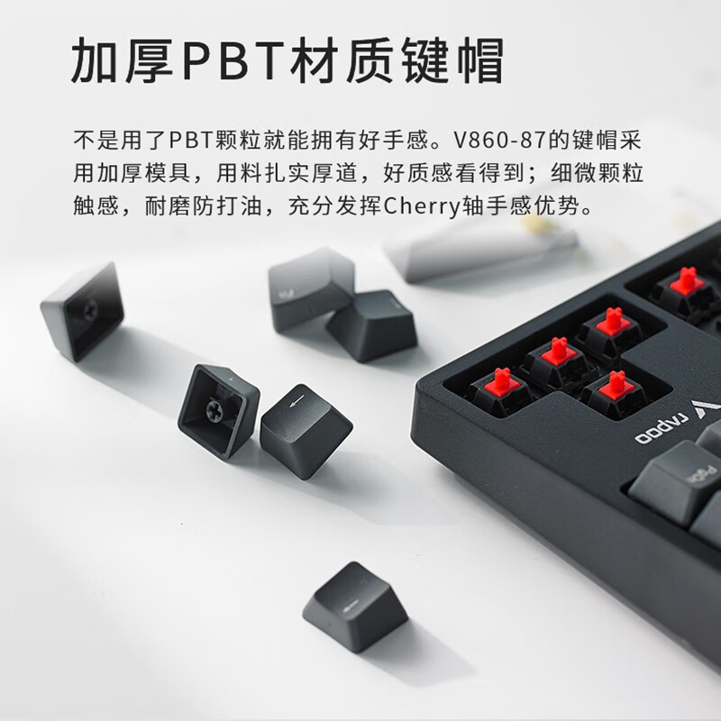 雷柏（Rapoo） V860 机械键盘 有线键盘 游戏键盘 87键 原厂Cherry轴 吃鸡键盘 黑色 樱桃茶轴