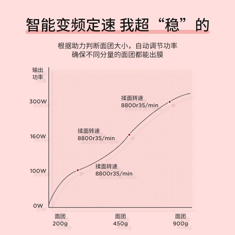 柏翠 (petrus) 厨师机家用和面包机揉面机打蛋器奶油全自动料理机多功能PE4500