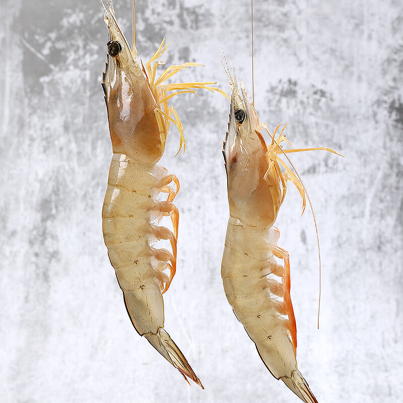 哆鲜生活冻大明虾南海野生海捕对虾生鲜速冷船冰可剥虾仁海白虾黄虾