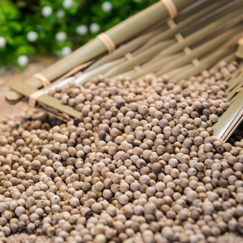 易厨食代 白胡椒粒 家庭用瓶装调味料 炒菜炖肉煲汤白胡椒颗粒香辛料200g