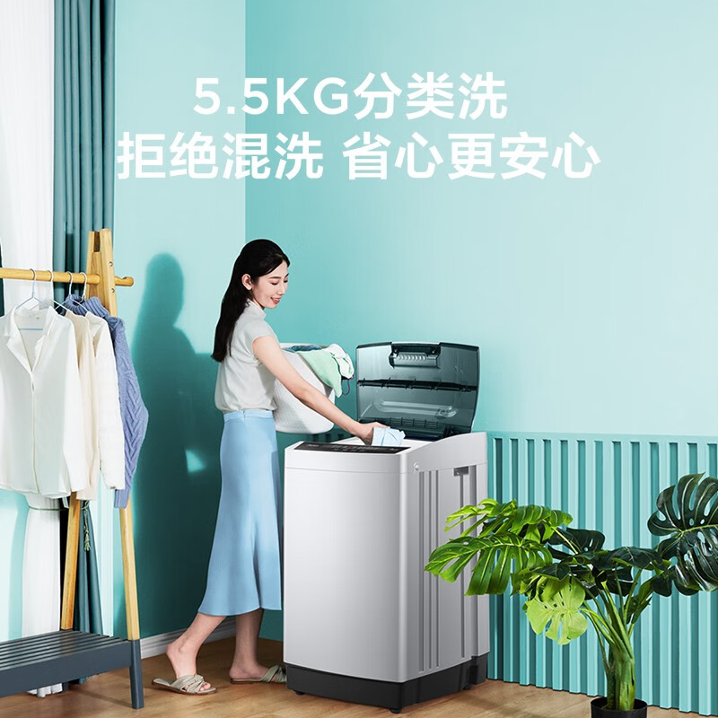 美的（Midea）波輪洗衣機全自動 5.5公斤 迷你洗衣機 品質電機 內桶自清潔 租房宿舍專用 以舊換新 MB55V35E