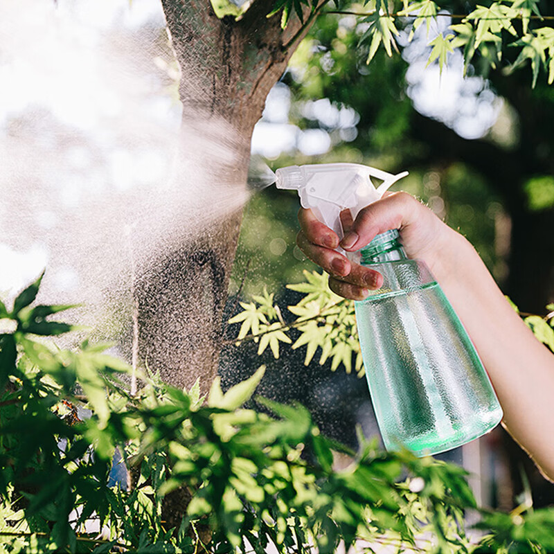 漫生活 500ml噴壺 手持噴霧器 園藝澆花小噴壺家居清潔75%酒精消毒噴水壺理發(fā)化妝噴壺 水柱/霧狀 小清新綠