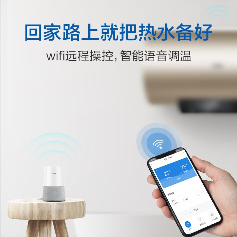 海爾（Haier）60升電熱水器家用儲水式變頻速熱 APP智控 一級能效專利2.0安全防電墻EC6002-YG3(U1)