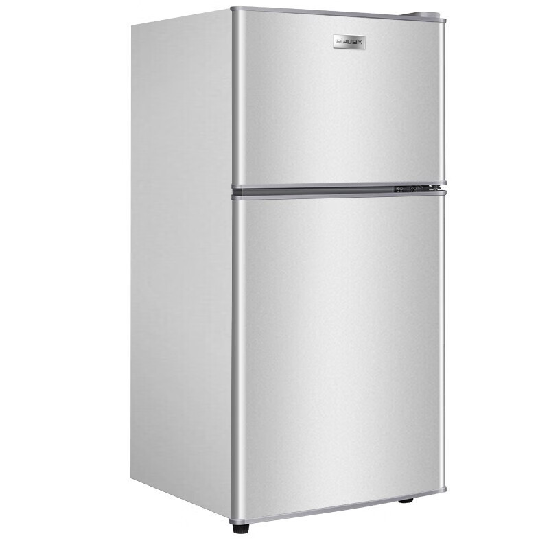日普（RIPU） 66升双门小冰箱 小型迷你家用宿舍租房电冰箱冷藏冷冻省电BCD-66A138D