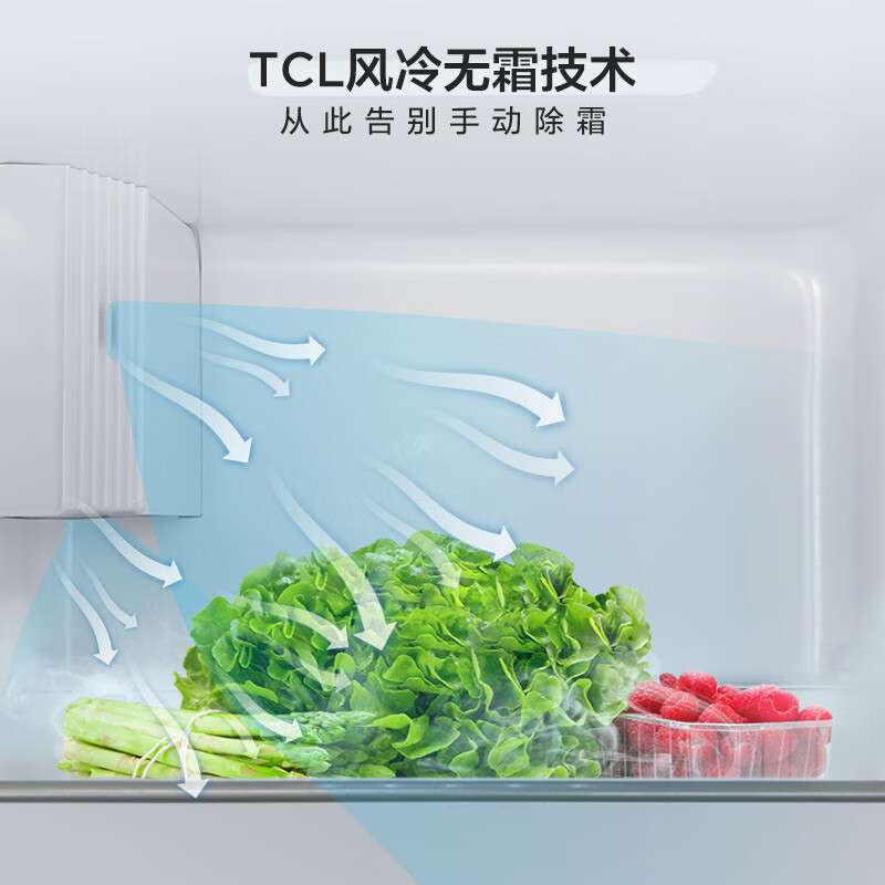 反馈分析TCLR455V3-S质量好吗？测评怎样？使用十天客观评价评测感受！