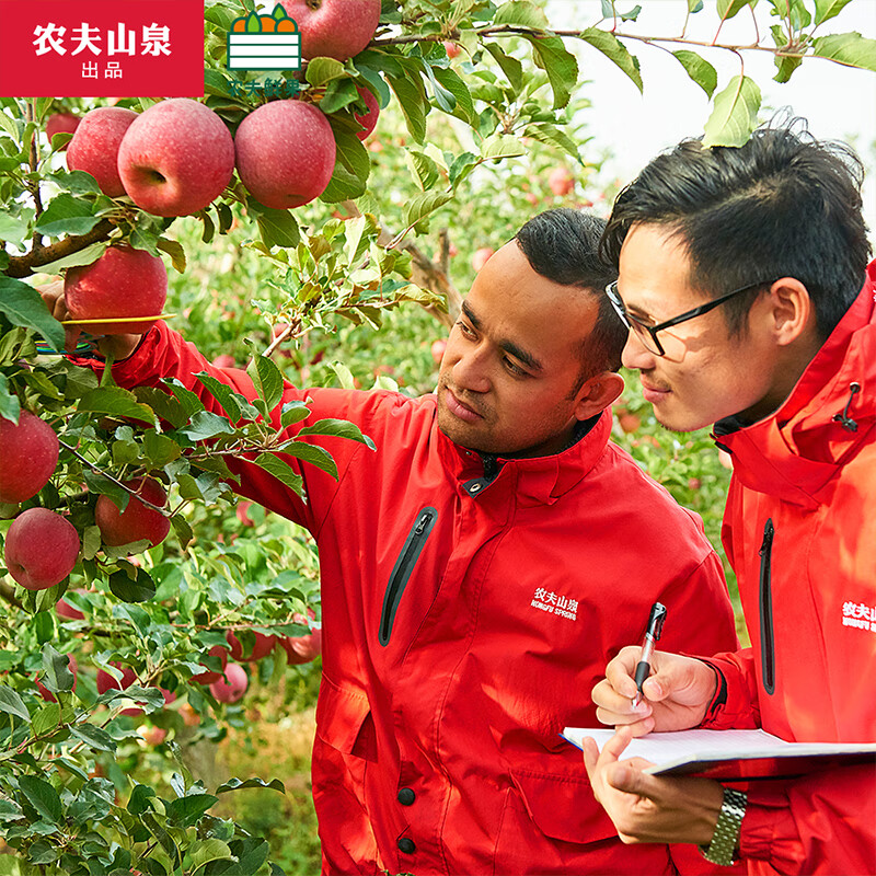 【销量过万】农夫山泉 17.5°苹果 阿克苏苹果 新鲜水果礼盒 85-89mm 14枚装