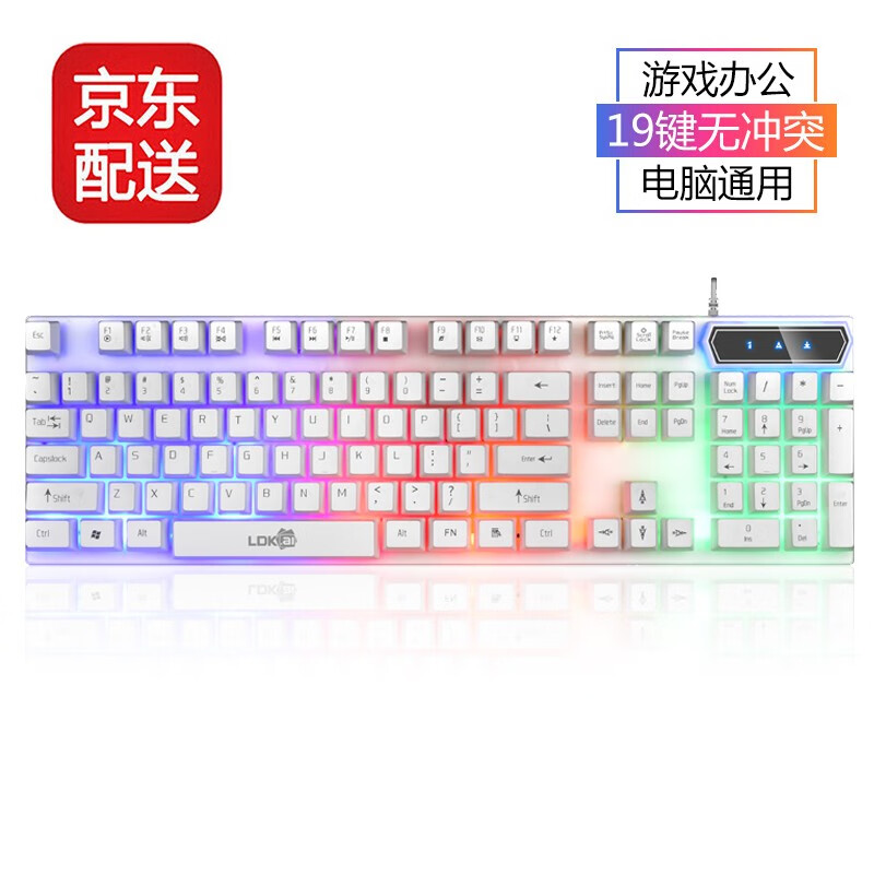 雷迪凯（LDK.al） 悬浮七彩背光键盘笔记本台式通用USB机械手感有线键鼠电竞游戏套装 R260白色彩虹背光单键盘