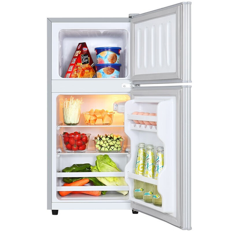 日普（RIPU） 76升双门小冰箱 小型迷你家用宿舍租房电冰箱冷藏冷冻省电BCD-76A148D