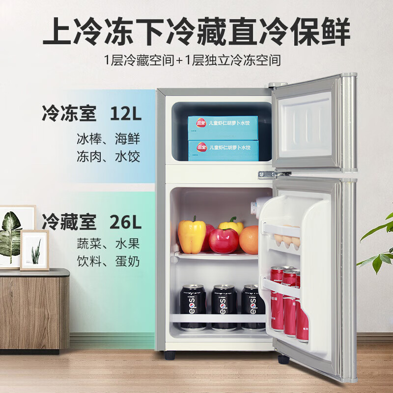 志高（CHIGO 38升雙門家用冰箱小迷你冰箱冷凍冷藏冷凍節(jié)能電冰箱【企業(yè)采購】BCD-38A118D銀色