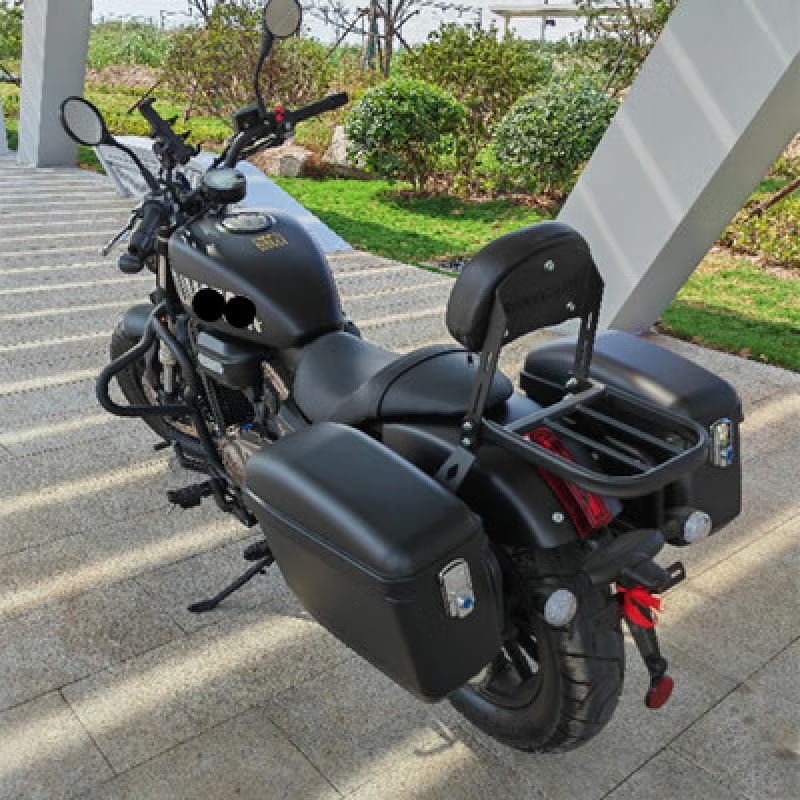 适用于钱江闪300s改装摩托车边箱 闪500复古哈雷太子车 庄威v400挂包