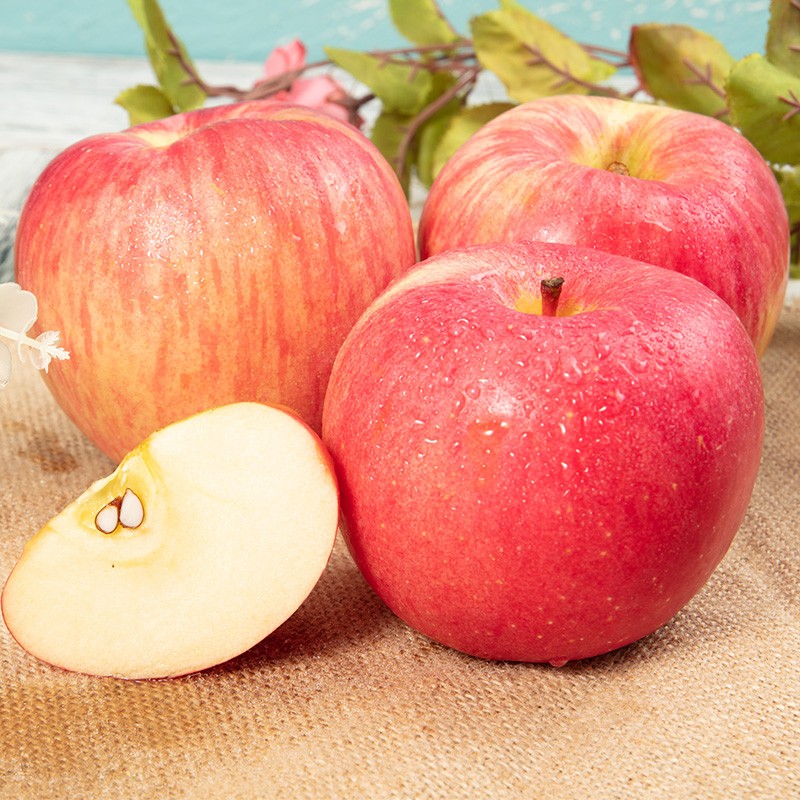 山东烟台栖霞 红富士苹果5斤装 单果230g以上 新鲜时令水果 产地直发 包邮