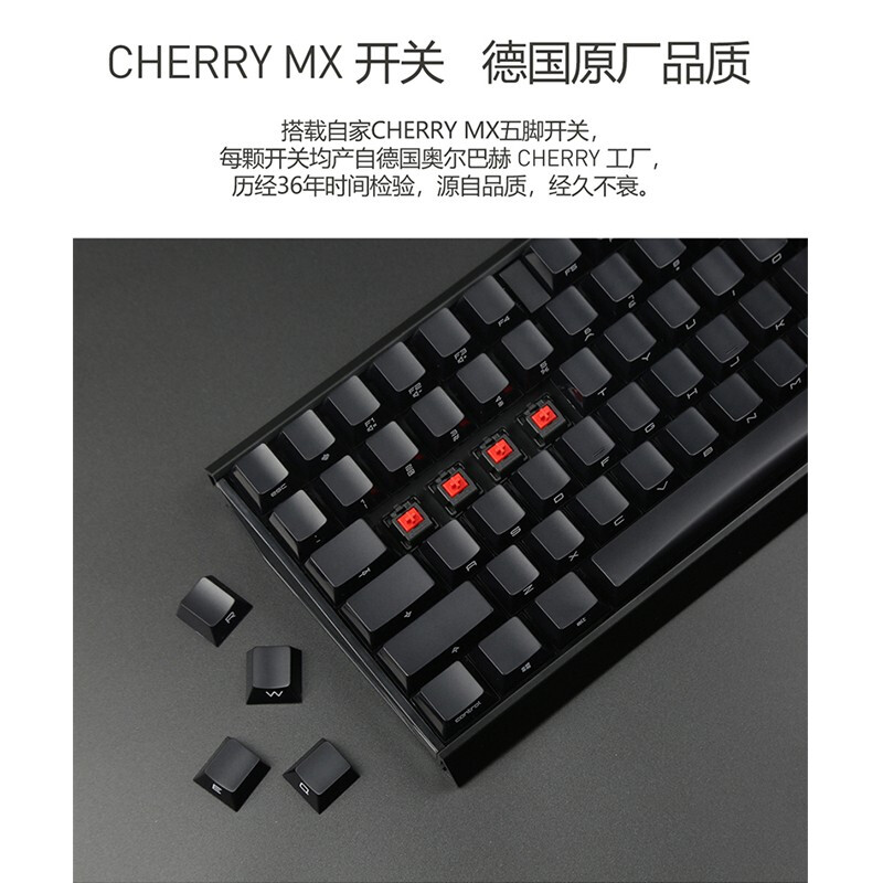 櫻桃（Cherry）MX3.0S G80-3870LYAEU-2 機(jī)械鍵盤 有線鍵盤 全尺寸游戲鍵盤 無(wú)鋼板側(cè)刻 黑色 紅軸