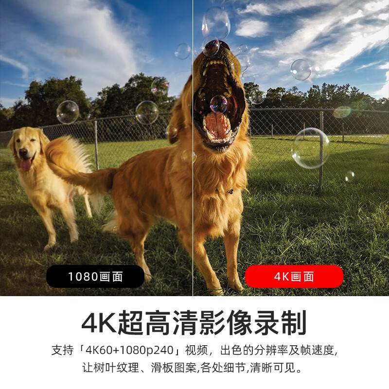 GoPro HERO8 Black 4K运动相机 Vlog数码摄像机 新手套装（含单机+64G内存卡）