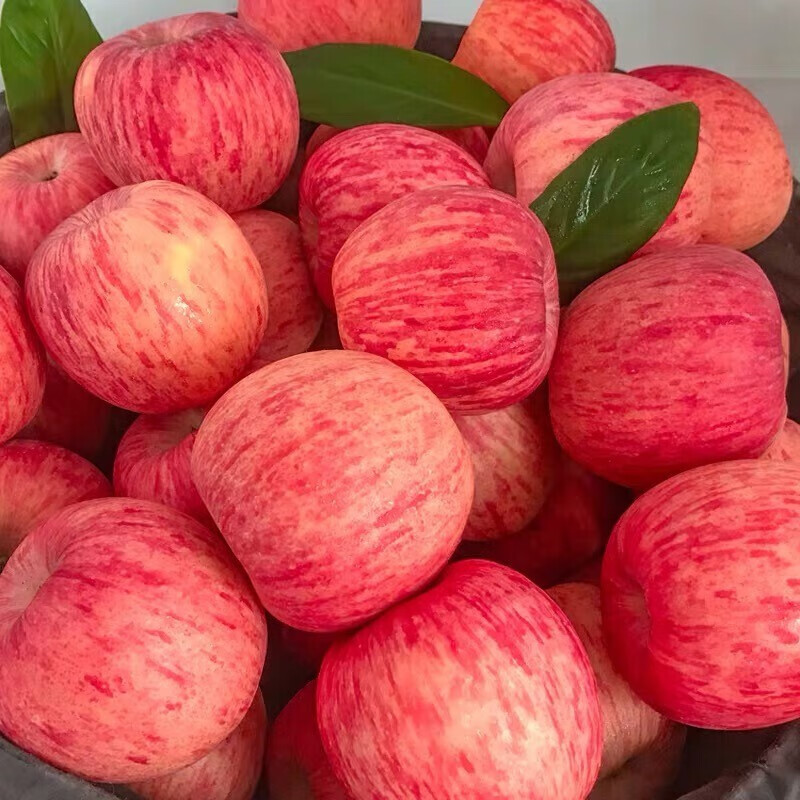 山东烟台红富士苹果水果礼盒整箱新鲜年货礼盒 产地直发 5斤净重80-85mm 一级大果