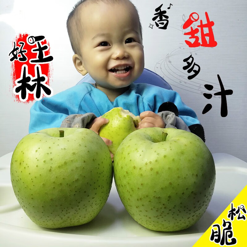 正宗王林苹果青森脆甜青苹果现摘应季水果新鲜绿苹果9斤日本引种 带箱5斤80-85mm