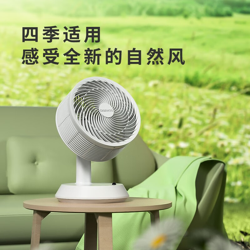 韓國大宇（DAEWOO）電風扇空氣循環(huán)扇風扇臥室家用多功能渦輪電扇辦公室臺式母嬰臺扇 循環(huán)扇遙控-C21（白色）