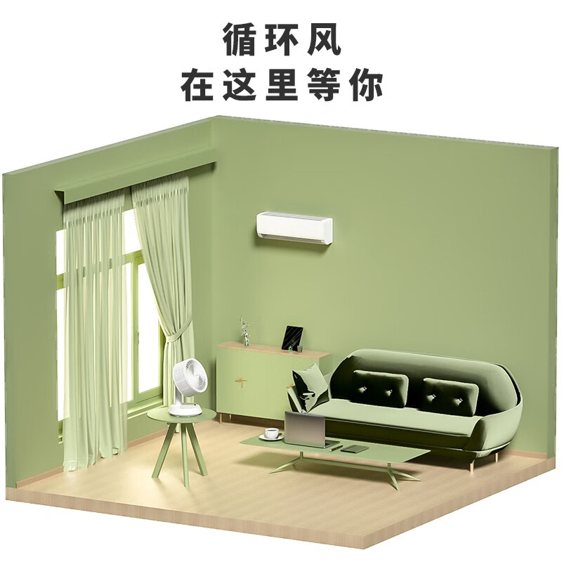 韩国大宇（DAEWOO）电风扇空气循环扇风扇卧室家用多功能涡轮电扇办公室台式母婴台扇 循环扇遥控-C21（白色）