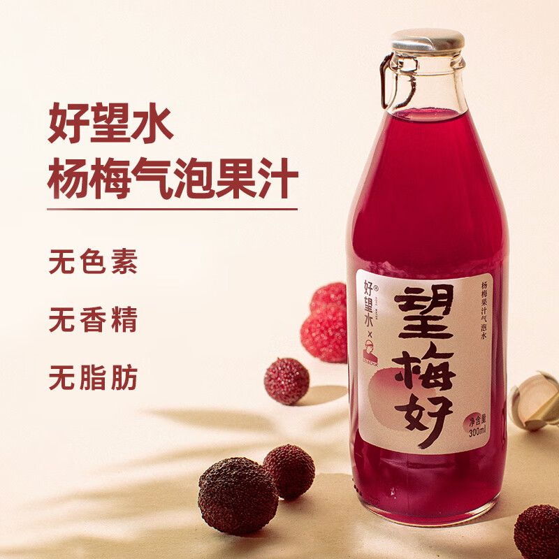 望梅好 新草本杨梅果汁气泡水饮品0脂肪好望水网红饮料300ml*6整箱装