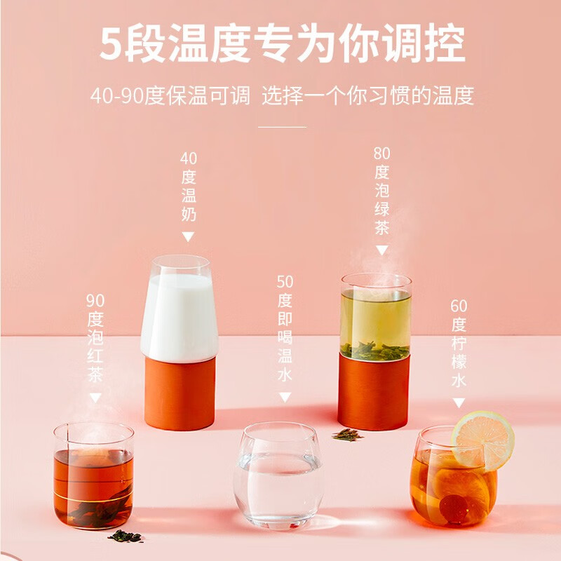 苏泊尔（SUPOR）养生壶 0.6L养生杯 迷你小煮茶器 玻璃花茶壶 办公室家用电水壶烧水壶电热水壶 SW-06Y27