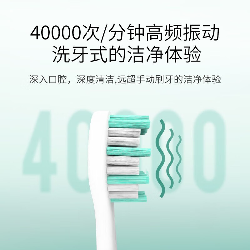 博皓（prooral）电动牙刷 成人充电式声波振动牙刷 2082B 白色