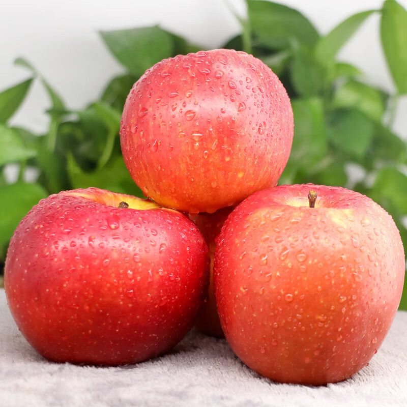 【特级】正宗新疆阿克苏冰糖心苹果10斤装礼盒装果径80-95mm 新鲜脆甜苹果水果