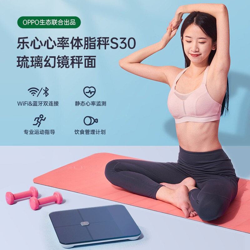 乐心心率体脂秤S30怎么样？谁用过评价？