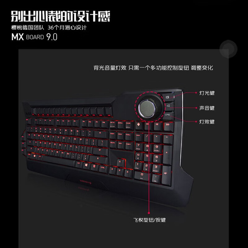 樱桃（CHERRY）MX9.0 G80-3980LSBEU-2 机械键盘 有线键盘 游戏键盘 全尺寸RGB背光  黑色 樱桃青轴