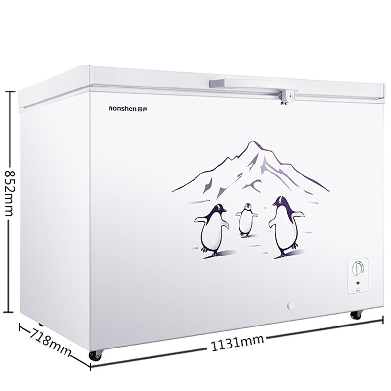 容声(Ronshen) 310升 冰柜 家用商用 冷藏冷冻转换冷柜 一级能效 大容量单温卧式冰箱 BD/BC-310MS