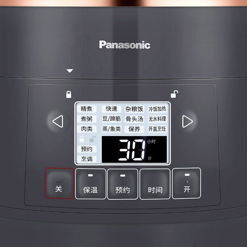松下（Panasonic）2L电压力锅 迷你电压力锅  高压锅 电压锅 电饭锅 24小时预约 可拆洗内外盖 SR-PB201-H
