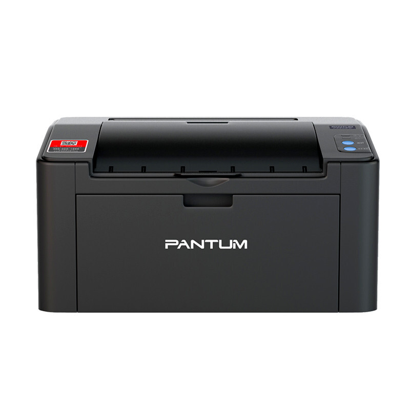 奔图（PANTUM）P2206W 微信分享/五年保修 黑白激光无线网络WiFi家用作业打印机