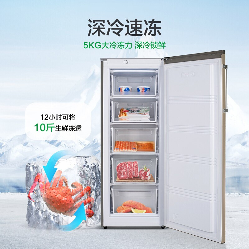 容声(Ronshen) 170升立式冰柜 家用办公室冷冻柜 母婴母乳冰箱分区存储 大容量BD-170KE一级能效