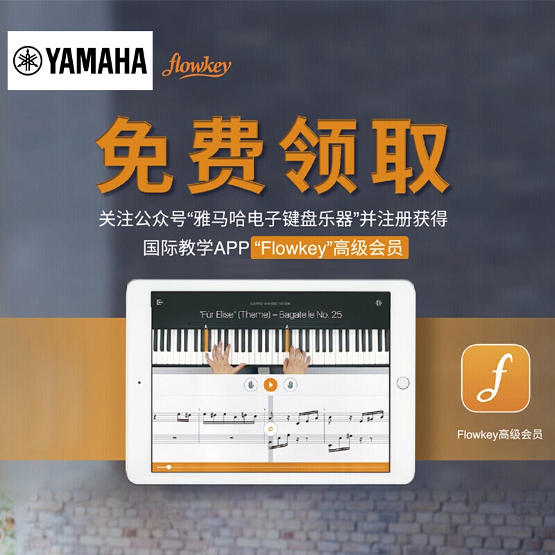 雅马哈（YAMAHA）电钢琴88键重锤P45数码钢琴专业成人儿童初学p45型号官方标配+全套配件